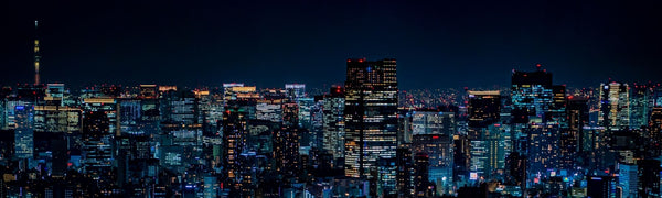 多くのビルに明かりがついた東京の夜景